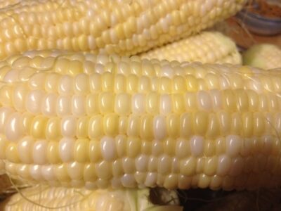 Preserve Your Corn Harvest by Freezing Corn Image
